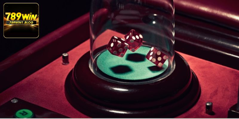 Tài Xỉu - Khái Quát Luật Chơi Và Chiến Thuật Thông Minh 4 Áp dụng theo chiến thuật thông minh