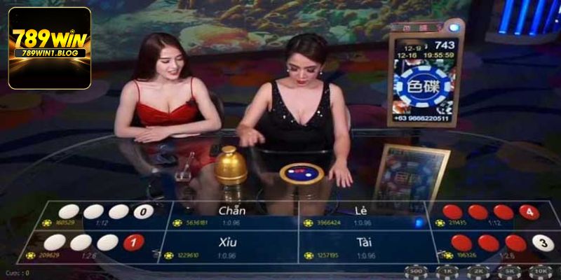 Cẩm Nang Chơi Xóc Đĩa Và Kỹ Năng Dự Đoán Quan Trọng 3 Kỹ thuật cầu sẽ giúp ích rất nhiều trong quá trình chơi